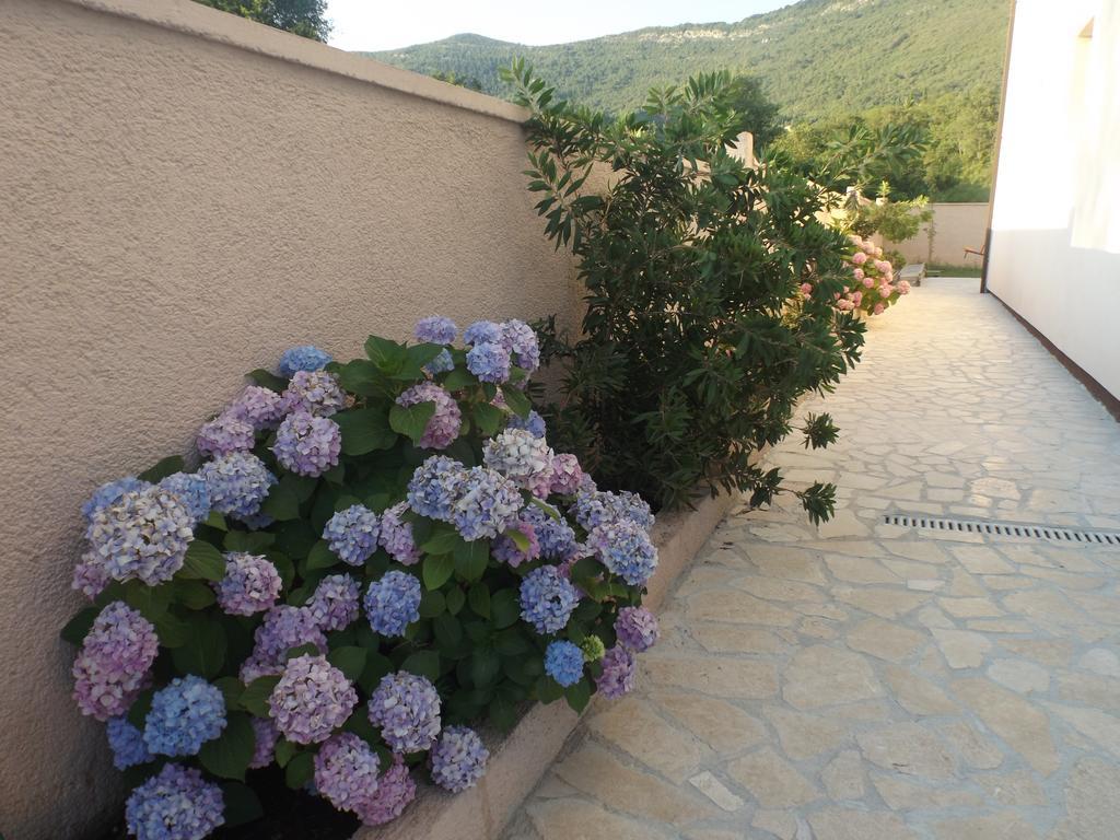 Apartmani Bulajic Tivat Zewnętrze zdjęcie